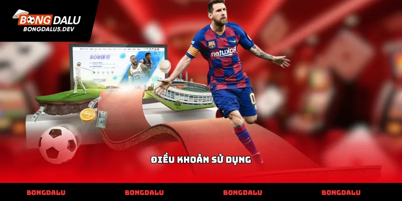 Điều khoản sử dụng