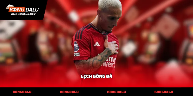 lich bong da thumb