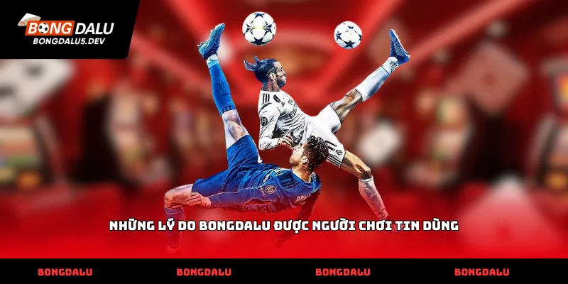 Những lý do Bongdalu được người chơi tin dùng