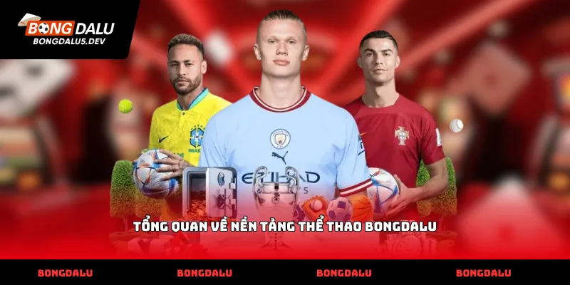 Tổng quan về nền tảng thể thao Bongdalu